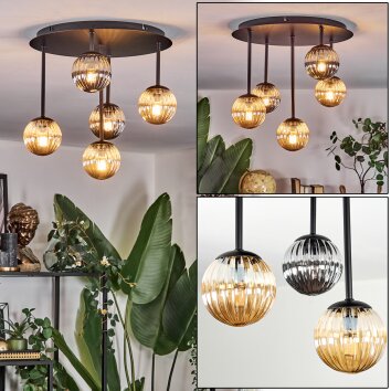 Chehalis Plafondlamp, Kogellampje Amber, Rookkleurig, 5-lichts