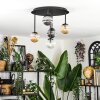 Chehalis Plafondlamp, Kogellampje Amber, Duidelijk, Rookkleurig, 5-lichts