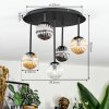 Chehalis Plafondlamp, Kogellampje Amber, Duidelijk, Rookkleurig, 5-lichts
