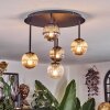 Chehalis Plafondlamp, Kogellampje Amber, Duidelijk, Rookkleurig, 5-lichts