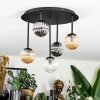 Chehalis Plafondlamp, Kogellampje Amber, Duidelijk, Rookkleurig, 5-lichts