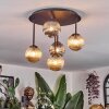 Chehalis Plafondlamp, Kogellampje Amber, Chroom, Rookkleurig, 5-lichts