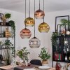 Koyoto Hanglamp, Kogellampje, Cluster hanglamp Chroom, Goud, Duidelijk, Koperkleurig, Rookkleurig, 5-lichts