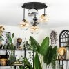 Chehalis Plafondlamp, Kogellampje Amber, Duidelijk, Rookkleurig, 5-lichts