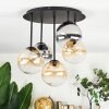 Chehalis Plafondlamp, Kogellampje Amber, Duidelijk, Rookkleurig, 5-lichts
