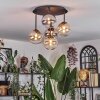 Chehalis Plafondlamp, Kogellampje Amber, Duidelijk, Rookkleurig, 5-lichts