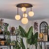 Chehalis Plafondlamp, Kogellampje Wit, 5-lichts