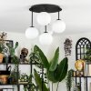 Chehalis Plafondlamp, Kogellampje Wit, 5-lichts