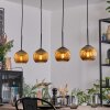 Koyoto Hanglamp, Kogellampje, Hanglamp Goud, 4-lichts
