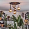 Chehalis Plafondlamp, Kogellampje Amber, Rookkleurig, 5-lichts