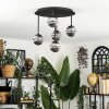 Chehalis Plafondlamp, Kogellampje Rookkleurig, 5-lichts