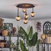 Chehalis Plafondlamp, Kogellampje Rookkleurig, 5-lichts