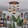 Chehalis Plafondlamp, Kogellampje Rookkleurig, 5-lichts