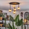 Chehalis Plafondlamp, Kogellampje Amber, 5-lichts