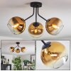 Koyoto Plafondlamp, Kogellampje 42 cm Goud, Duidelijk, 3-lichts