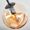 Gastor Plafondlamp, Kogellampje 42 cm Amber, Duidelijk, Rookkleurig, 3-lichts