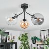Gastor Plafondlamp, Kogellampje 42 cm Amber, Duidelijk, Rookkleurig, 3-lichts