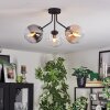 Gastor Plafondlamp, Kogellampje 42 cm Amber, Duidelijk, Rookkleurig, 3-lichts