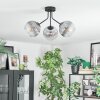 Koyoto Plafondlamp, Kogellampje Duidelijk, Rookkleurig, 3-lichts