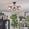 Koyoto Plafondlamp, Kogellampje Duidelijk, Rookkleurig, 3-lichts