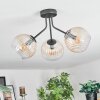 Koyoto Plafondlamp, Kogellampje Amber, Duidelijk, 3-lichts