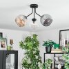 Ripoll Plafondlamp, Kogellampje Amber, Duidelijk, Rookkleurig, 3-lichts