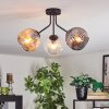 Ripoll Plafondlamp, Kogellampje Amber, Duidelijk, Rookkleurig, 3-lichts