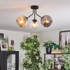 Ripoll Plafondlamp, Kogellampje Amber, Duidelijk, Rookkleurig, 3-lichts