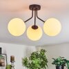 Gastor Plafondlamp, Kogellampje Wit, 3-lichts