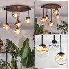 Chehalis Plafondlamp, Kogellampje Amber, Duidelijk, Rookkleurig, 5-lichts