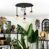 Chehalis Plafondlamp, Kogellampje Amber, Duidelijk, Rookkleurig, 5-lichts