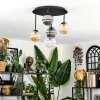 Chehalis Plafondlamp, Kogellampje Amber, Duidelijk, Rookkleurig, 5-lichts