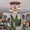 Chehalis Plafondlamp, Kogellampje Amber, Duidelijk, Rookkleurig, 5-lichts