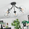 Koyoto Plafondlamp, Kogellampje 52 cm Duidelijk, 5-lichts