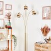 Ramila Staande lamp Messing, Zwart, 3-lichts