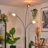 Nikkala Staande lamp Zwart, 3-lichts