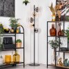 Koyoto Staande lamp 31 cm Amber, Duidelijk, Rookkleurig, 5-lichts