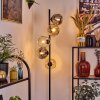 Ripoll Staande lamp Amber, Duidelijk, Rookkleurig, 5-lichts