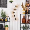 Ripoll Staande lamp Amber, Duidelijk, 5-lichts