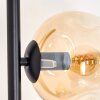 Ripoll Staande lamp Amber, Duidelijk, 5-lichts