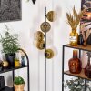 Koyoto Staande lamp 31 cm Goud, Duidelijk, 5-lichts