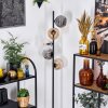 Ripoll Staande lamp Amber, Duidelijk, Rookkleurig, 5-lichts