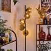 Ripoll Staande lamp Goud, Duidelijk, 5-lichts
