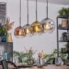 Ripoll Hanglamp, Kogellampje, Hanglamp Goud, Duidelijk, Koperkleurig, Rookkleurig, 4-lichts