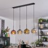 Ripoll Hanglamp, Kogellampje, Hanglamp Goud, Duidelijk, Koperkleurig, Rookkleurig, 4-lichts