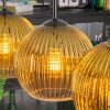 Koyoto Hanglamp, Kogellampje, Hanglamp Goud, Duidelijk, 4-lichts