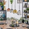 Ripoll Hanglamp, Kogellampje, Hanglamp Goud, Duidelijk, Koperkleurig, Rookkleurig, 4-lichts