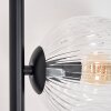 Ripoll Staande lamp Duidelijk, 5-lichts