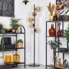 Ripoll Staande lamp Amber, 5-lichts