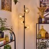 Ripoll Staande lamp Duidelijk, 4-lichts